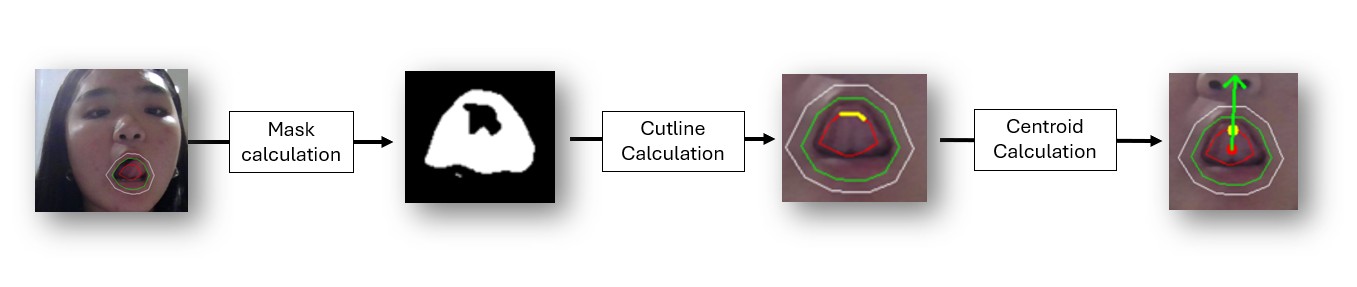 Diagram of the processing pipeline for tongue orientation recognition
